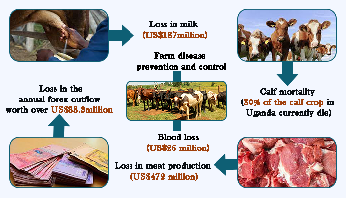 Some of the economic losses caused by ticks and tick-borne diseases in uganda